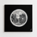 Lunar