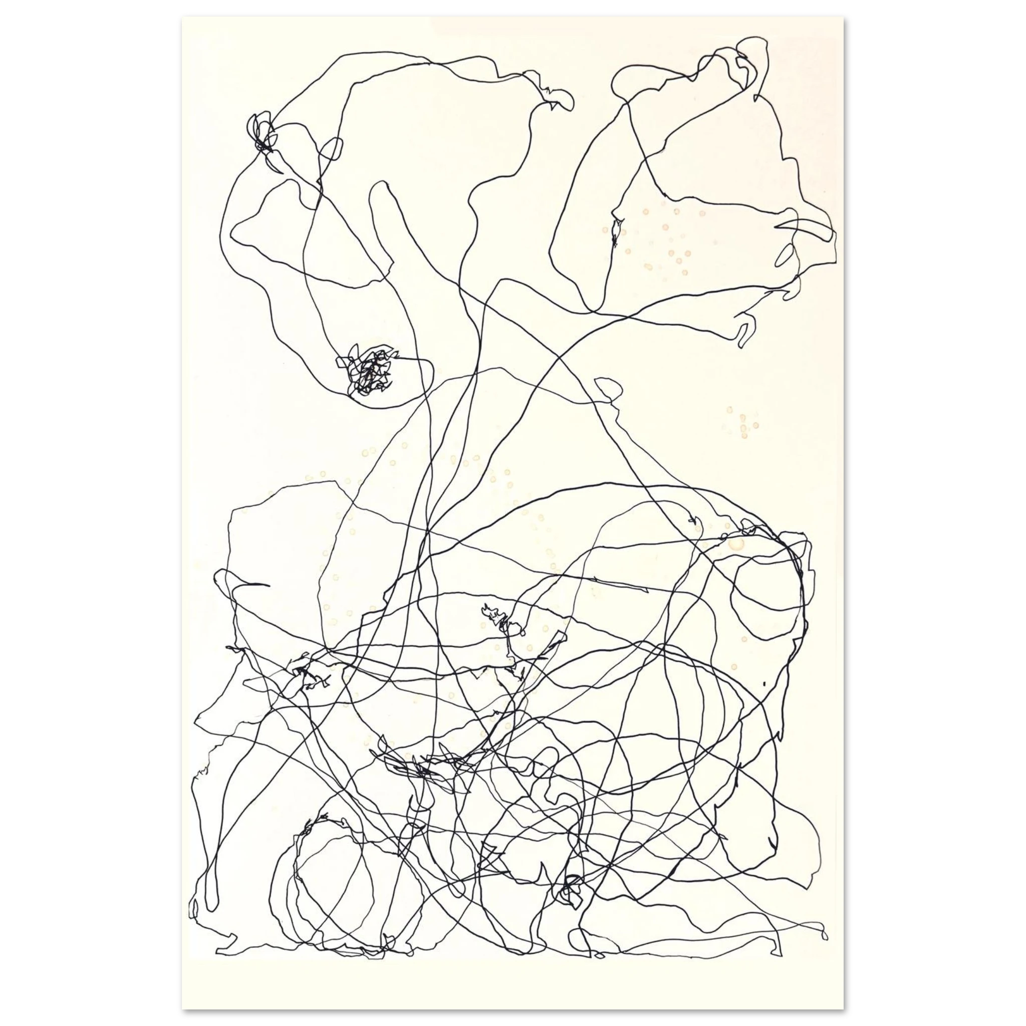 7e652f55-65b2-4405-bb39-01e740ff212f